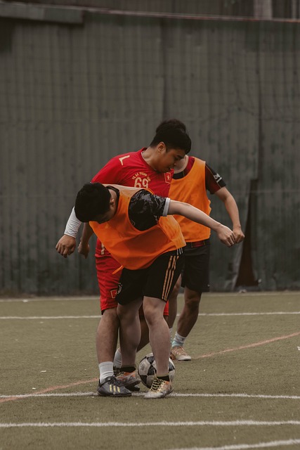 维尼修斯的